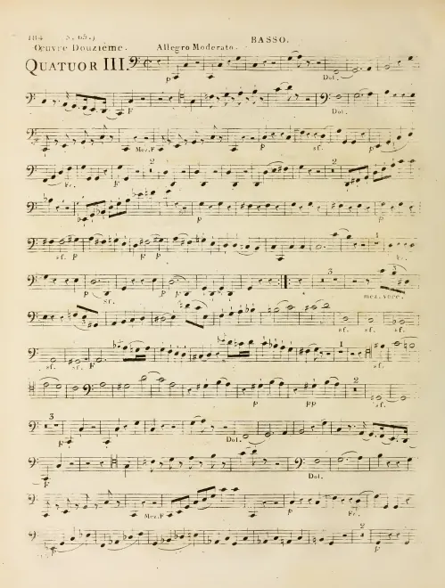 Cello