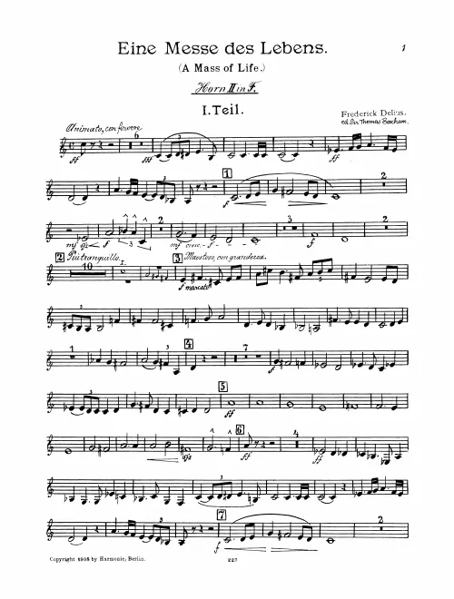Horn 2 (F/E/E♭)