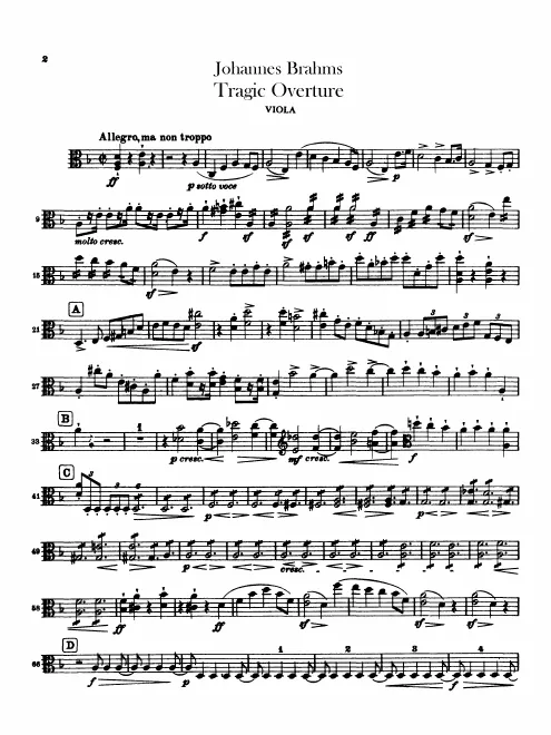 Violas