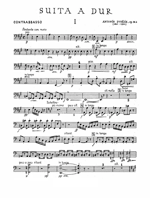 Basses