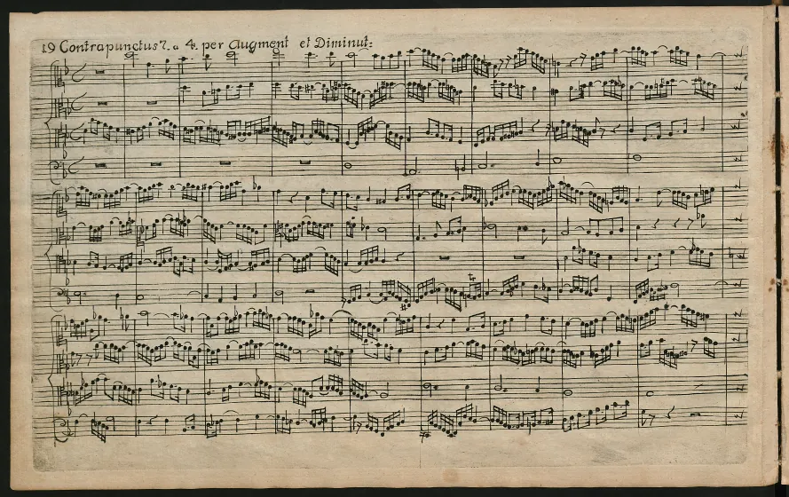 Section 2 (pp.19-44)