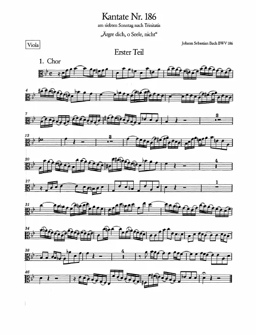 Violas