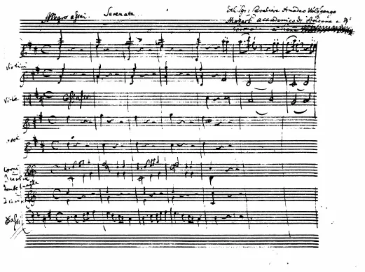 1. Allegro assai (f.1-13) 7. Adagio. - Allegro assai (f.43-58) (monochrome)