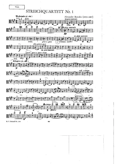 Viola