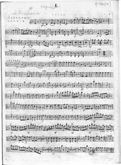Violas