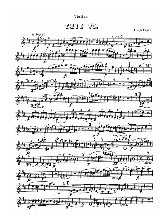 Violin