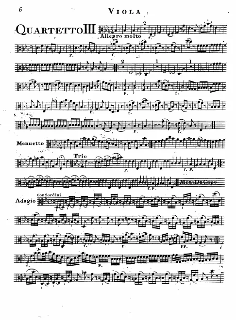 Viola