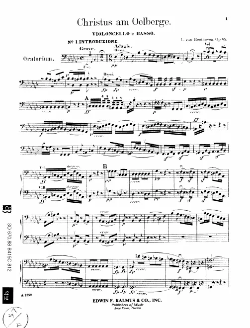 Cellos/Basses