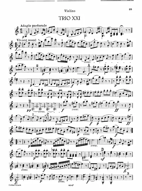 Violin