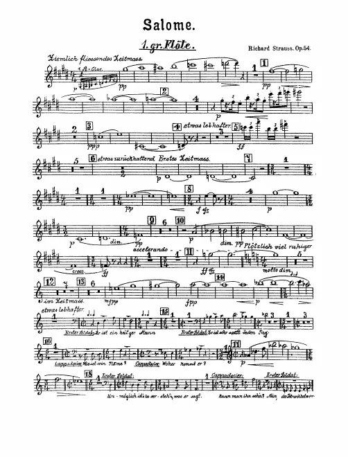 Flute 1