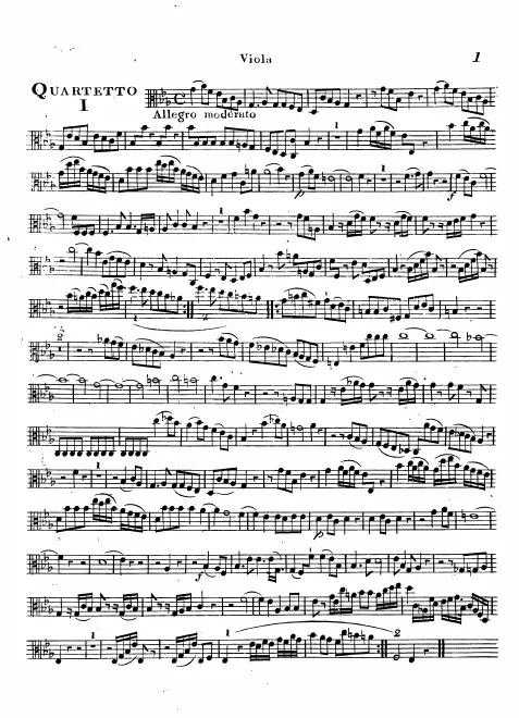 Viola