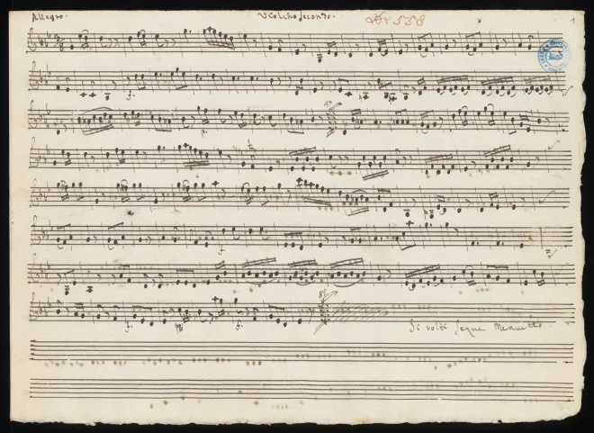 Violin 2