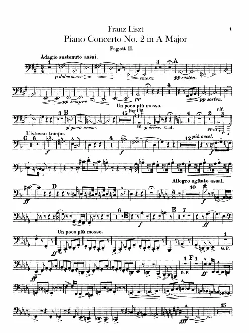 Bassoon 2