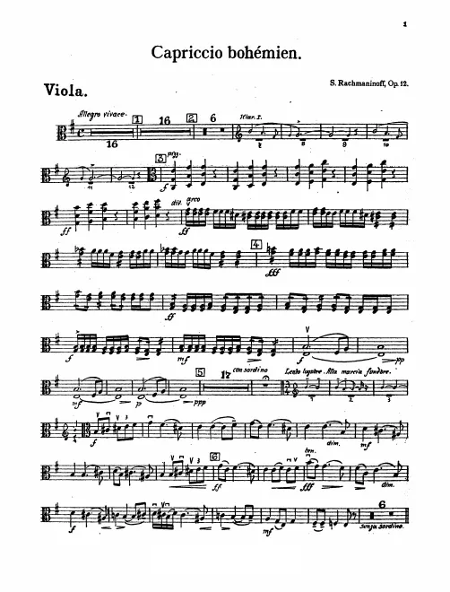 Violas