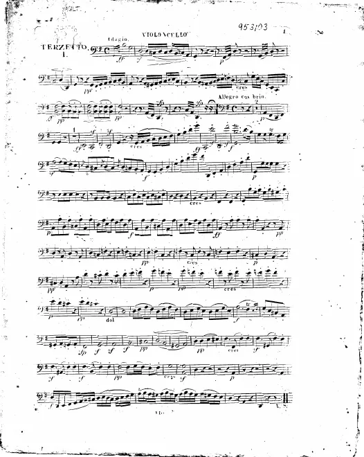 Cello