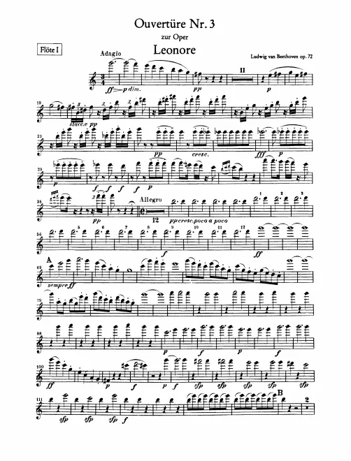 Flute 1, 2