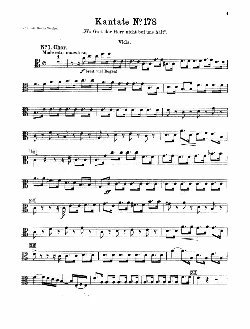 Violas