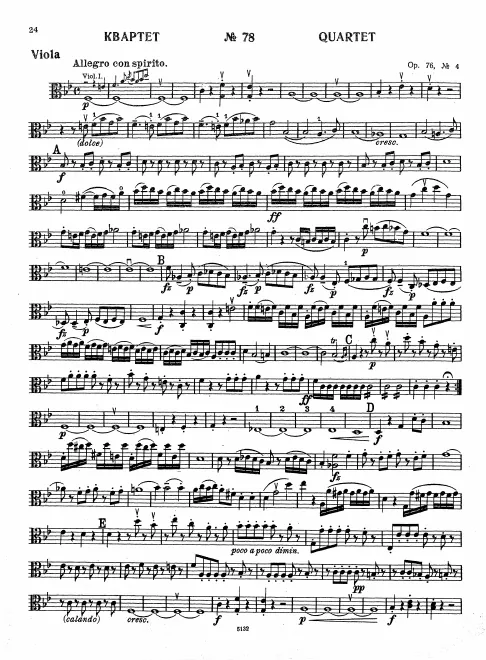 Viola