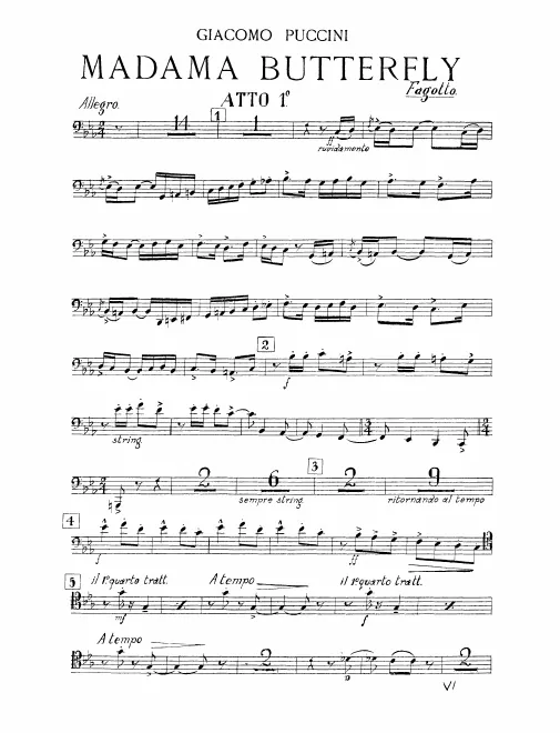 Bassoon