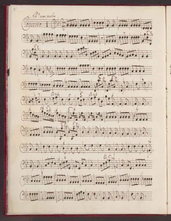 Continuo (Cellos, Basses, Keyboard)