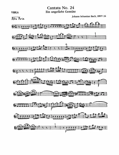 Violas