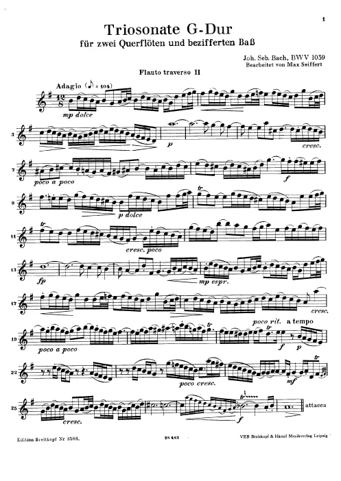Flute 2