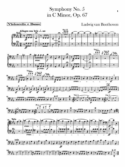 Cellos/Basses