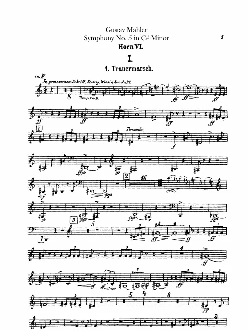 Horn 6 (F)