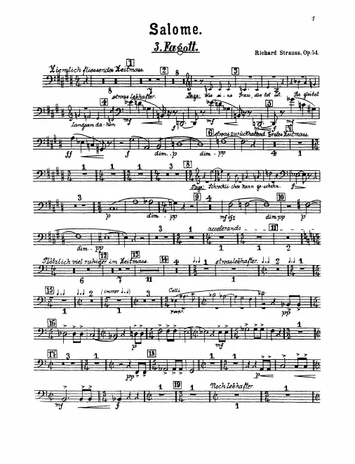 Bassoon 3
