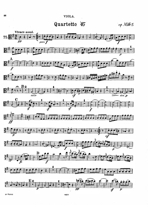 Viola