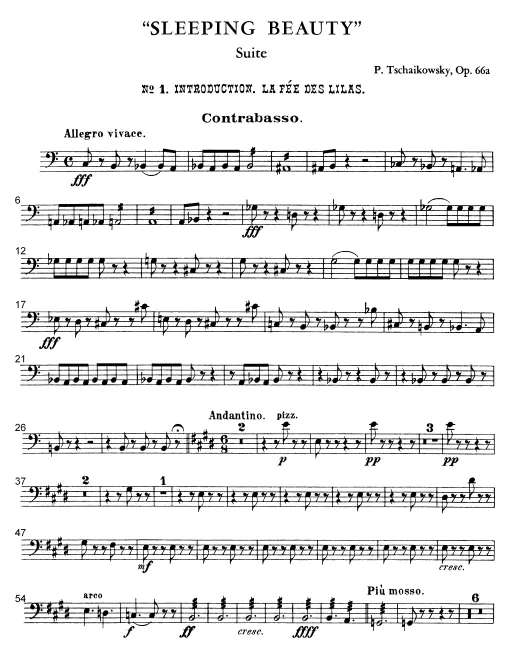 Basses