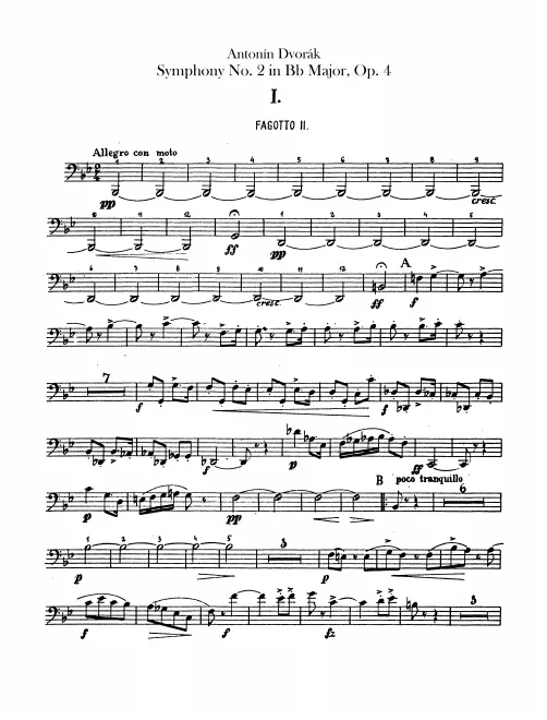 Bassoon 2