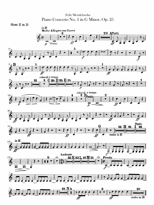 Horn 2 (D)