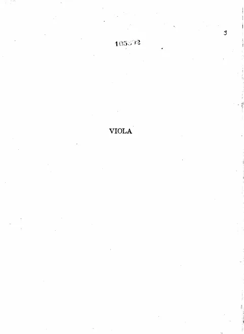 Viola