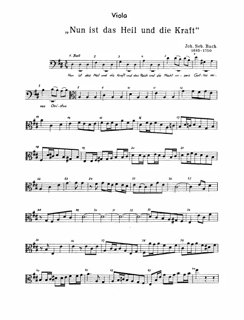 Violas