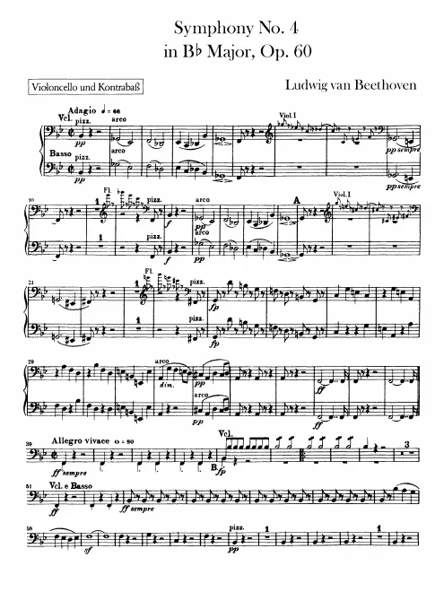 Cellos/Basses