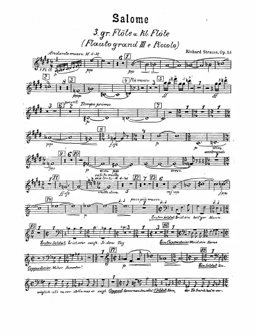 Flute 3/Piccolo