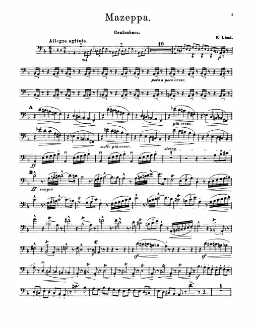 Basses
