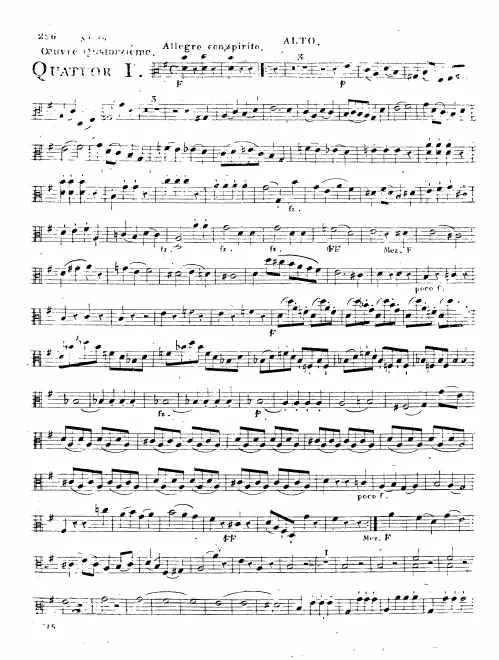 Viola