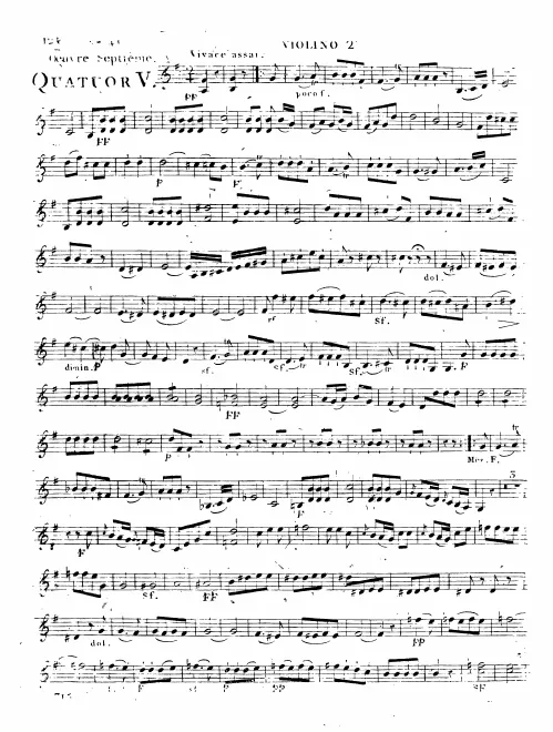 Violin 2