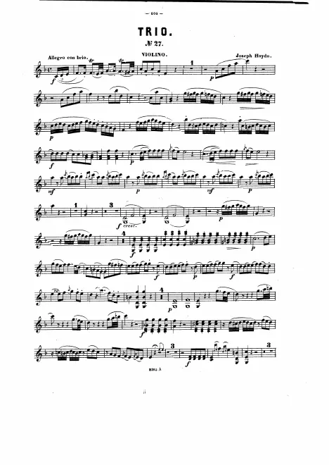 Violin
