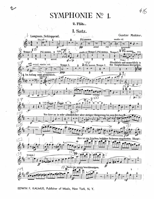 Flute 2