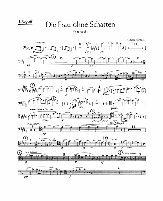Bassoon 1