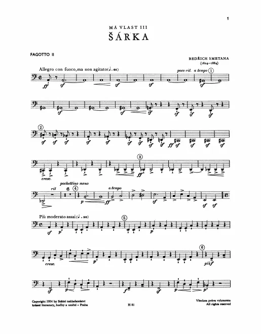Bassoon 2