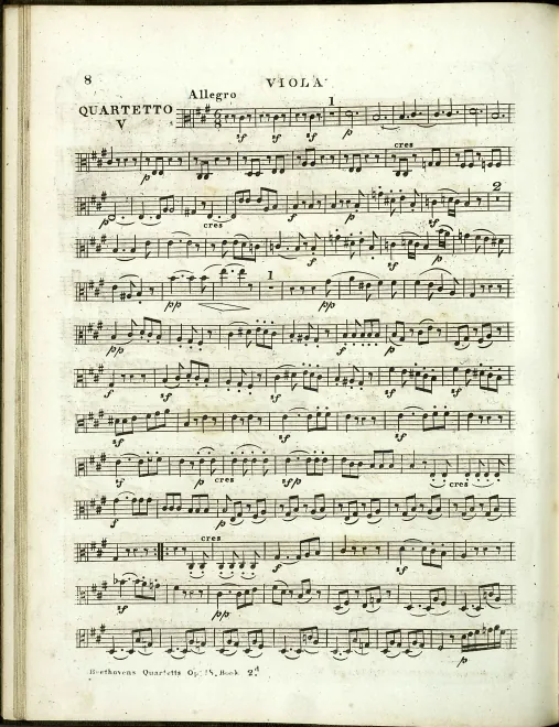 Viola