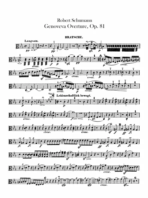 Violas