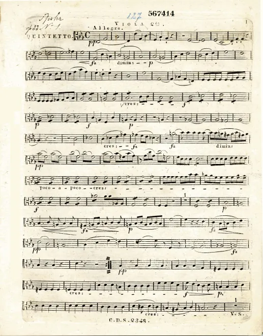 Viola 2