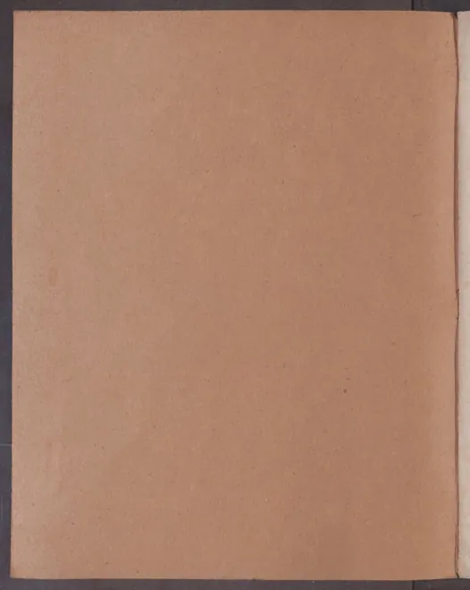 10. La straniera