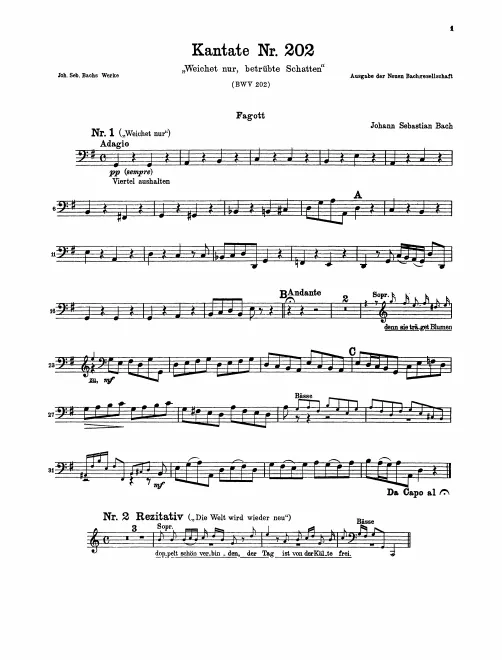 Bassoon