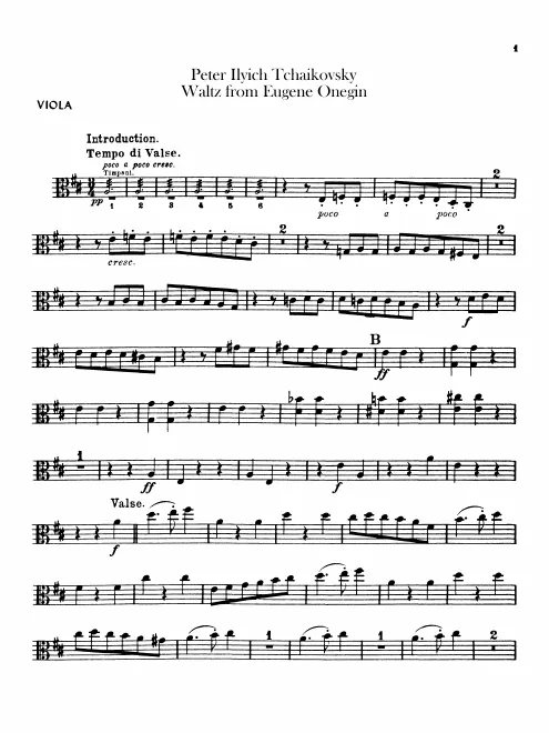 Violas
